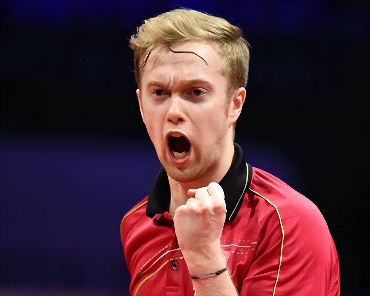 冠军之路：荷兰选手实现全胜