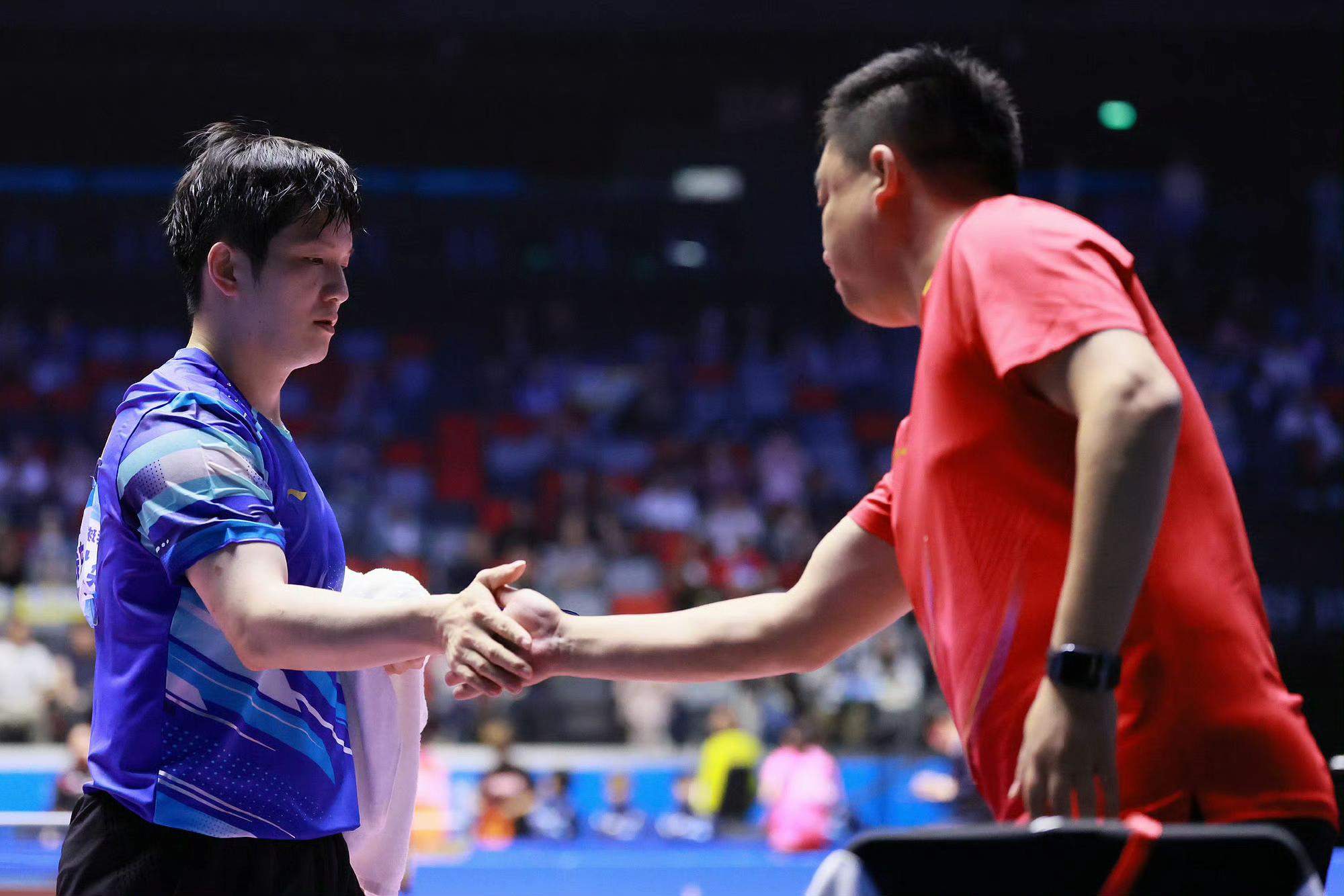 日本队力克韩国队,樊振东状态火热的简单介绍 日本队力克韩国队,樊振东状态火热的简单介绍