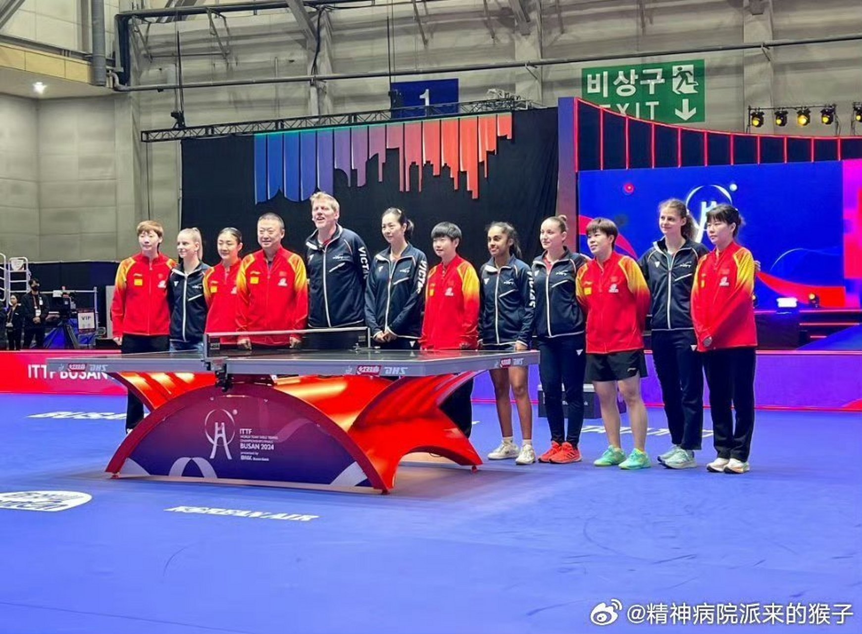 法国队碾压马来西亚队,马琳带队取胜 法国队碾压马来西亚队,马琳带队取胜