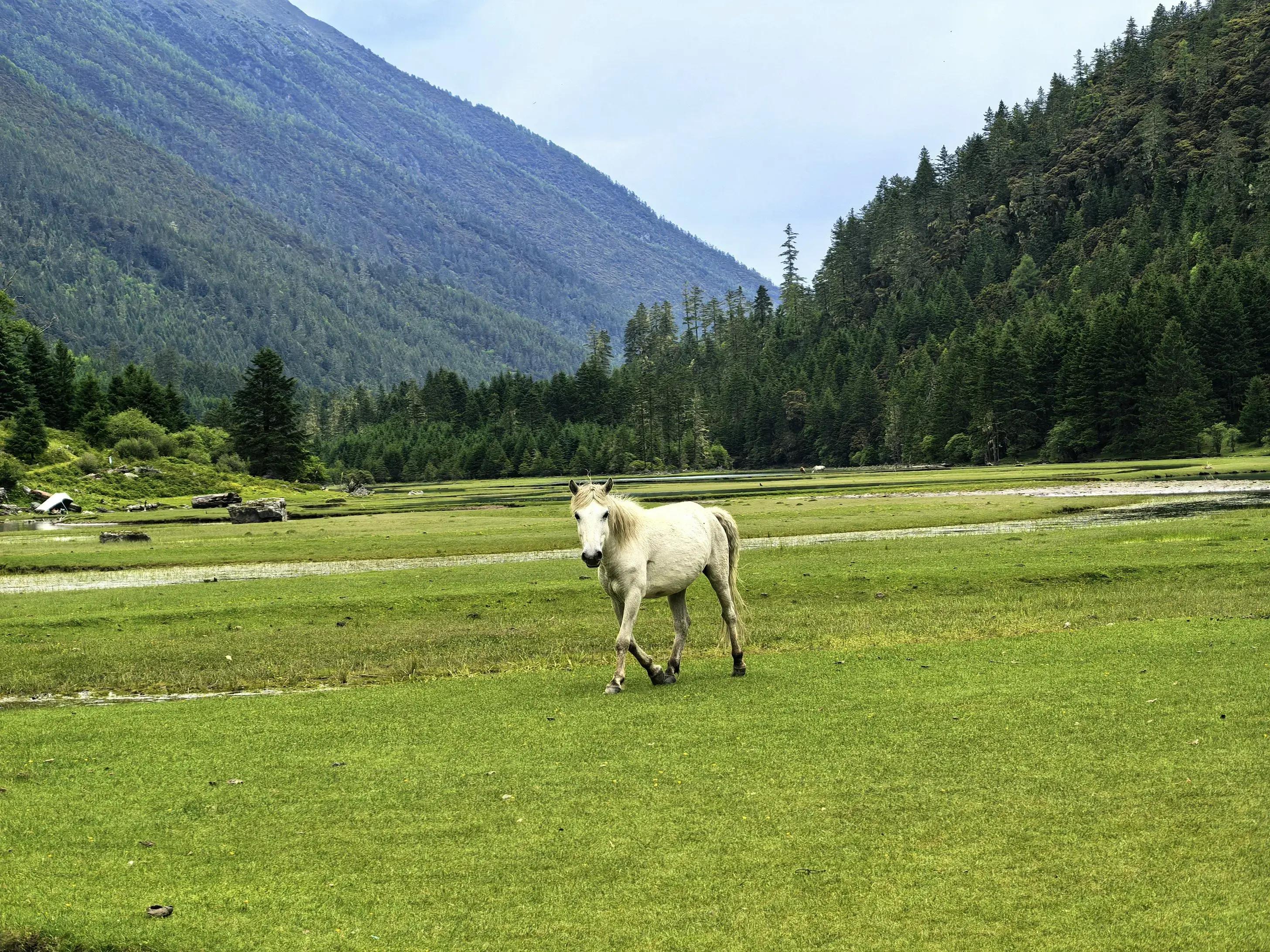 关于塞内加尔逆转马赛，库尔图瓦惊艳四座的信息